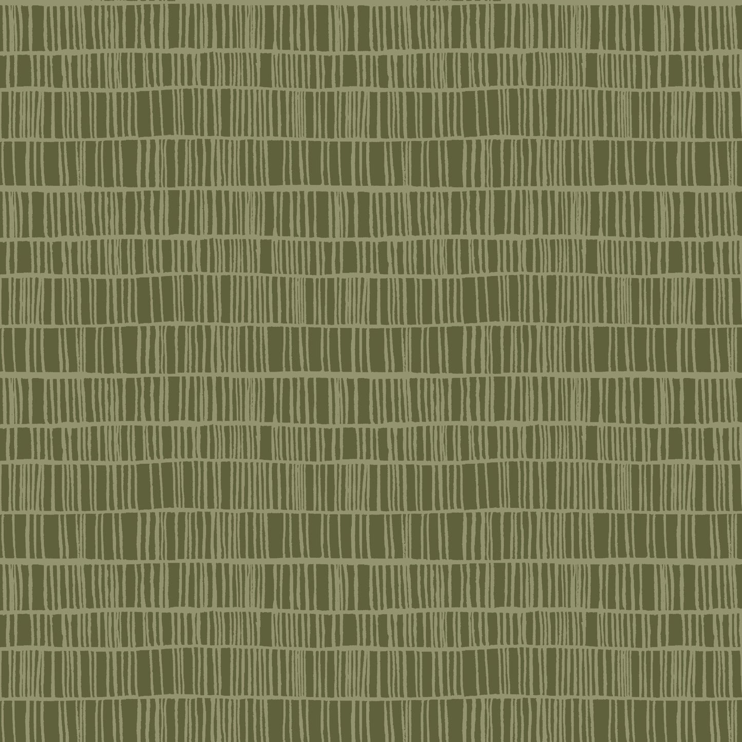 Calathea - Moss