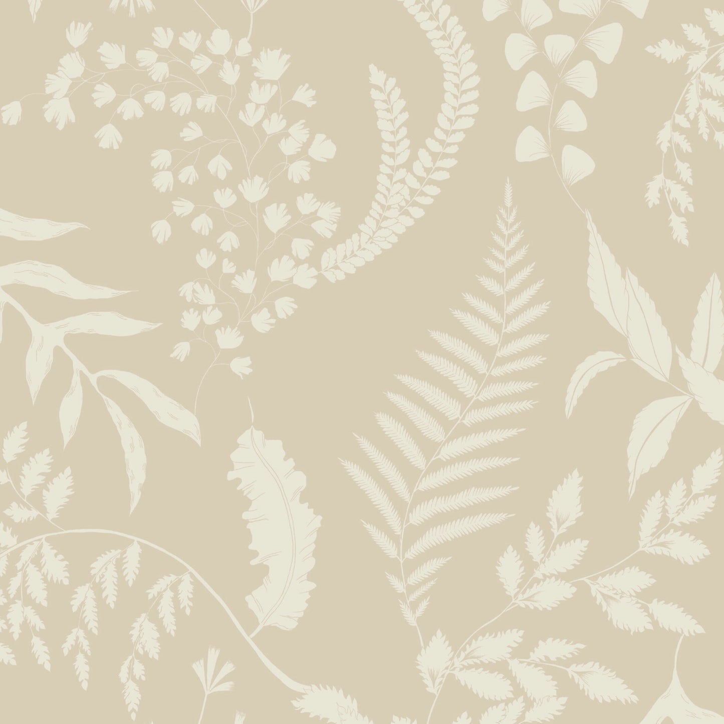 Forest Ferns - Oat