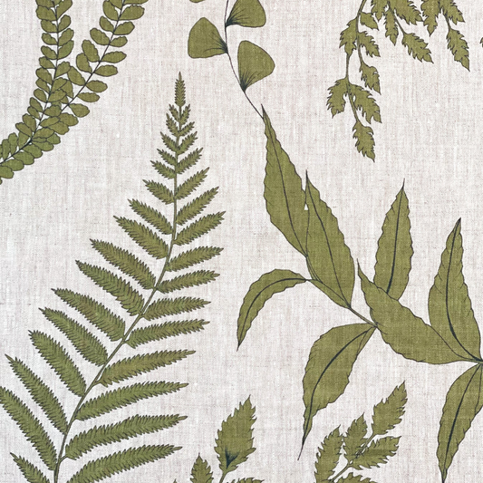 Forest Ferns - Olive