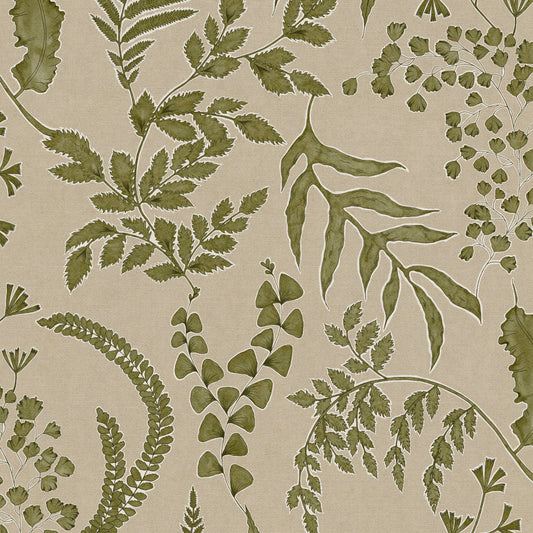 Forest Ferns - Moss